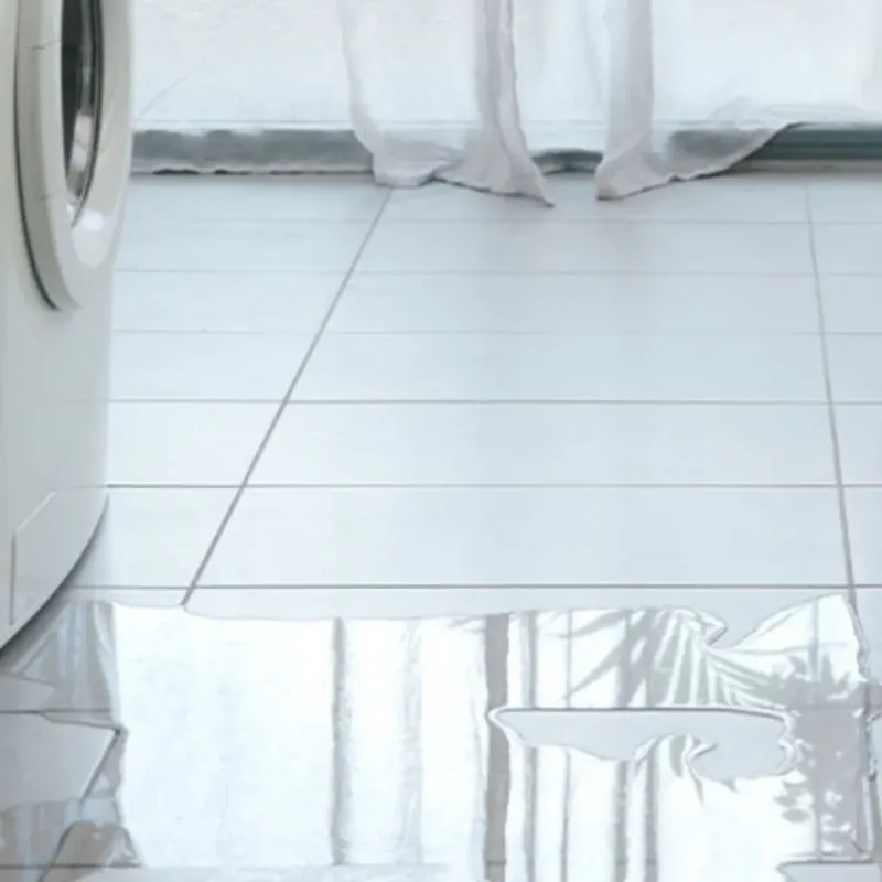 Appliance Leak Cleanup in Mill City, OR
