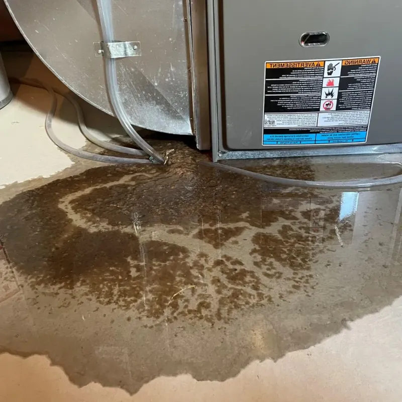 Pipe Burst and Leak Restoration in Mill City, OR